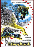 Мага уводит стаю