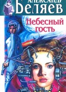 Небесный гость