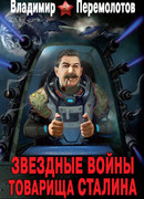 Звездные войны товарища Сталина. Орбита «сталинских соколов»