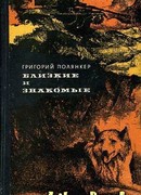 Городской сумасшедший