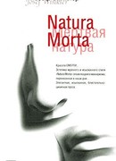 Natura Morta