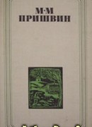 Глаза земли. Корабельная чаща