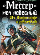 «Мессер» – меч небесный. Из Люфтваффе в штрафбат