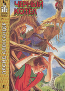 Чёрный котёл