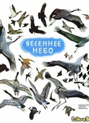 Весеннее небо