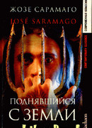 Поднявшийся с земли