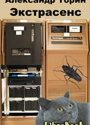 Экстрасенс