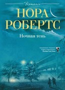 Ночная тень