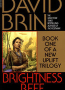 Риф яркости