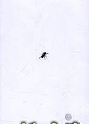 Переходный возраст