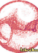 Алов Ким - 13 подвиг Геракла