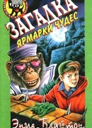Загадка ярмарки чудес