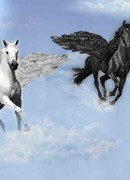 Истории Софии