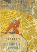 Функция Шорина