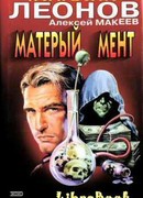 Капитан пиратского брига