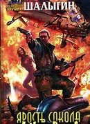 Ярость Сокола