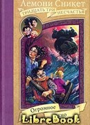 Огромное окно