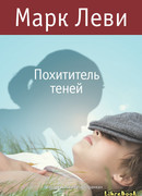 Похититель теней