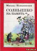 Солнышко на память