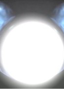 Божественная власть