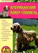 Американский кокер-спаниель