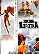 Частное предпринимательство