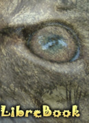 Недремлющий глаз бога Ра