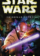 Уязвимая точка