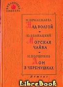 В зимнем городе