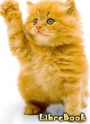 Необычайные приключения рыжего котенка по имени Мурр