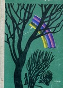 Ночная радуга