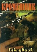 Кромешник. Книга 2