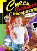 Смесь бульдога с носорогом