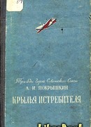 Крылья истребителя