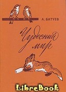 Чудесный мир