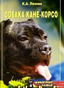 Собака Кане-Корсо