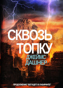 Сквозь Топку