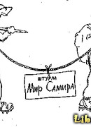 Штурм Мир Самира