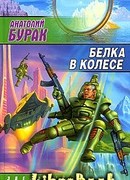 Белка в колесе