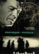 В лабиринте замершего города