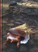 Другой город