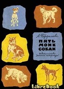 Пять моих собак