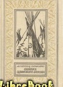 Ошибка Одинокого Бизона