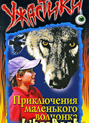 Приключения маленького волчонка