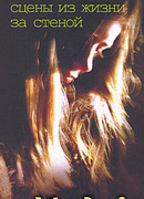 Сцены из жизни за стеной
