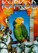 Судьба попугая