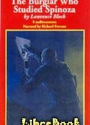 Взломщик, который изучал Спинозу
