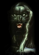 Обезьянник