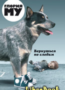 Вернуться по следам