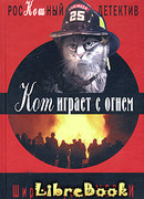 Кот играет с огнем